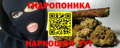 a pvp Гатчина