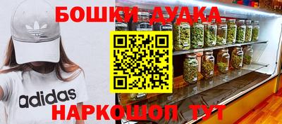крисы Гай
