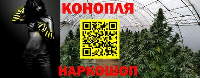 эйфоретик Гагарин