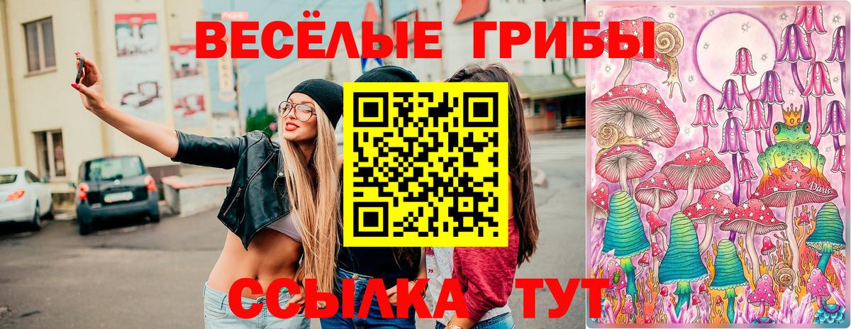 купить наркотик  Псилоцибиновые грибы прущие грибы  Вход с VPN  Псилоцибиновые грибы GOLDEN TEACHER  Долгопрудный 